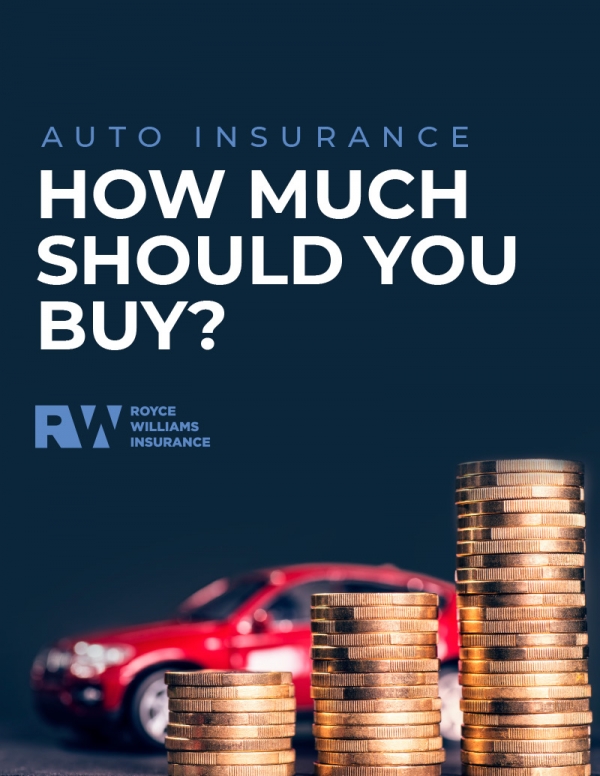 How Much Auto Insurance Book Cover (eBook)